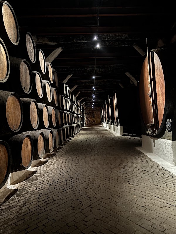 Sandeman 4