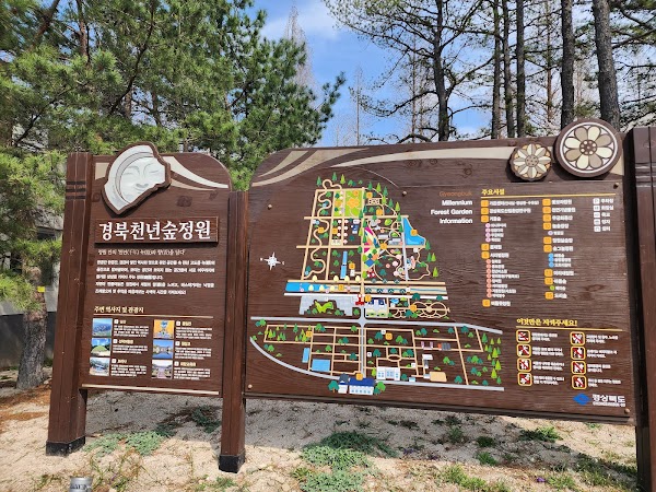 Gyeongbuk Millennium Forest Garden 4