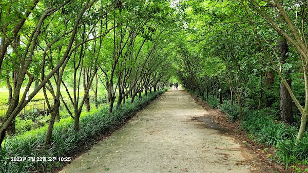 Gyeongbuk Millennium Forest Garden 2