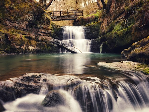Wales 31