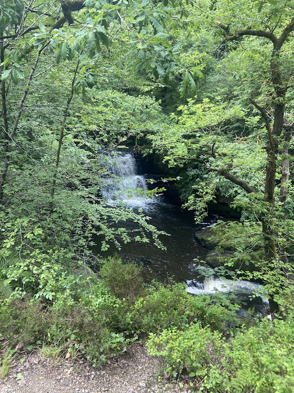 Sychryd Waterfall (Pwll Berw) 5