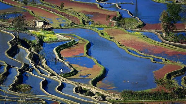 Yuanyang County, Yunnan