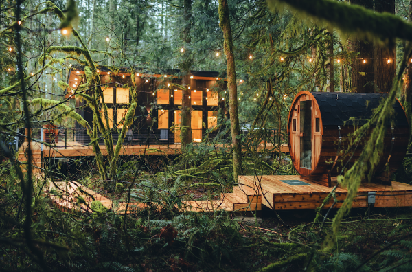 Cedar Hollow