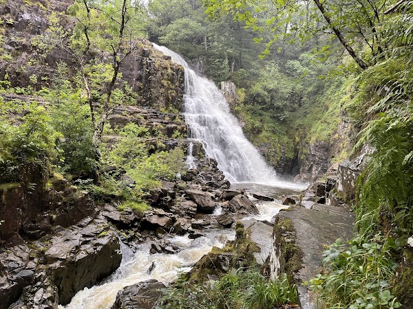 Coed-y-Brenin 1