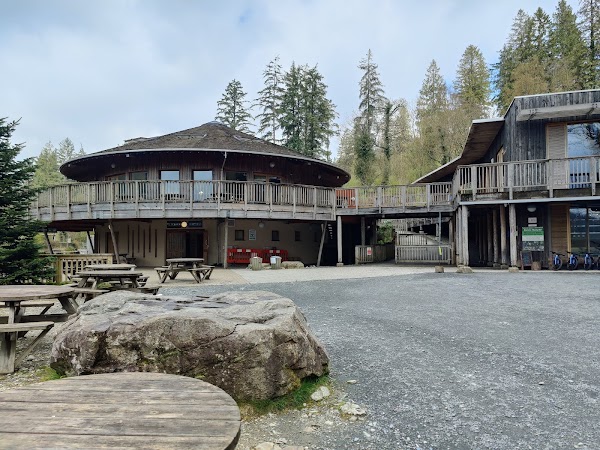Coed-y-Brenin 5