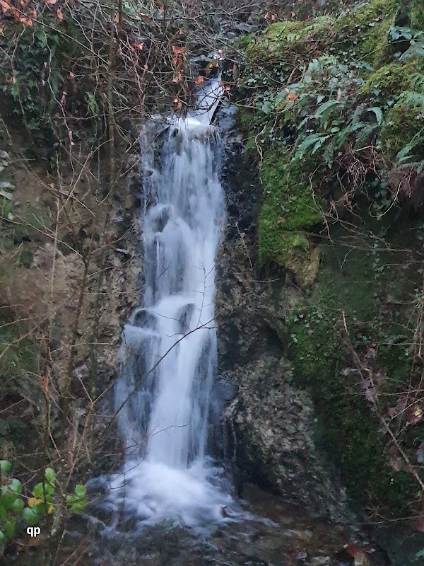 Coed-y-Brenin 4