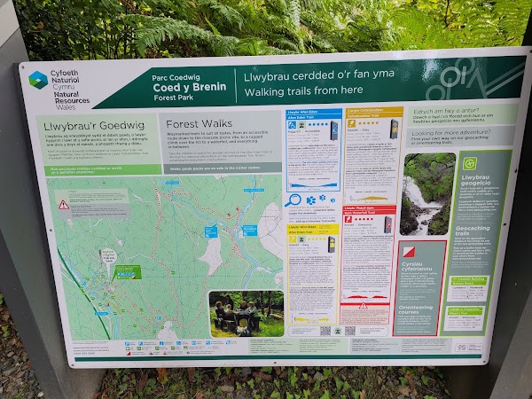 Coed-y-Brenin 3