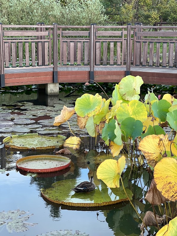Pureun Arboretum 3