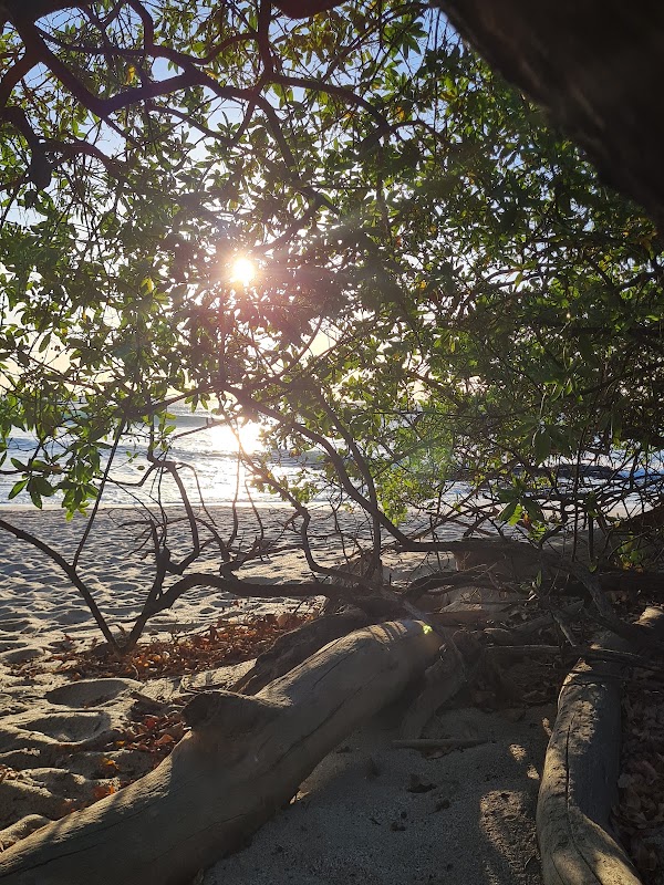 Playa Langosta 5