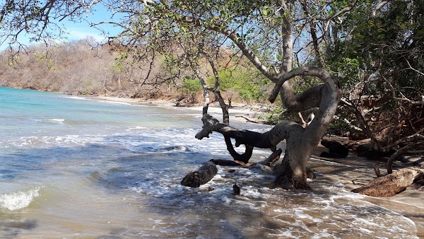Playa Langosta 4