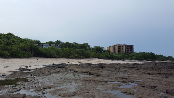 Playa Langosta 3
