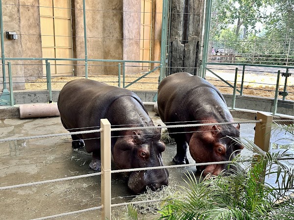 Calgary Zoo 3
