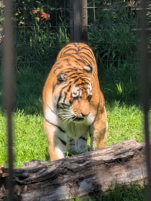 Calgary Zoo 2