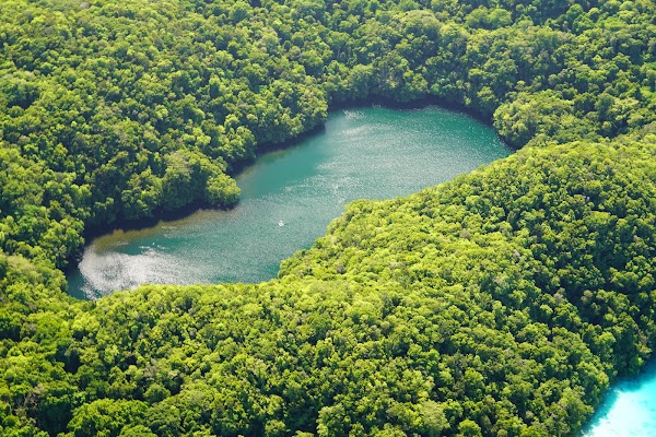 Jellyfish Lake 1