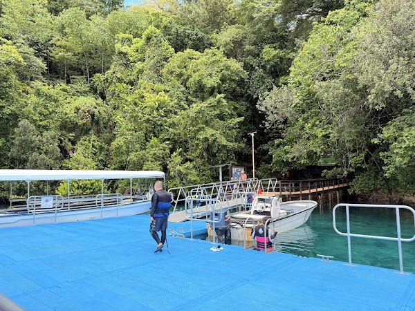 Jellyfish Lake 2