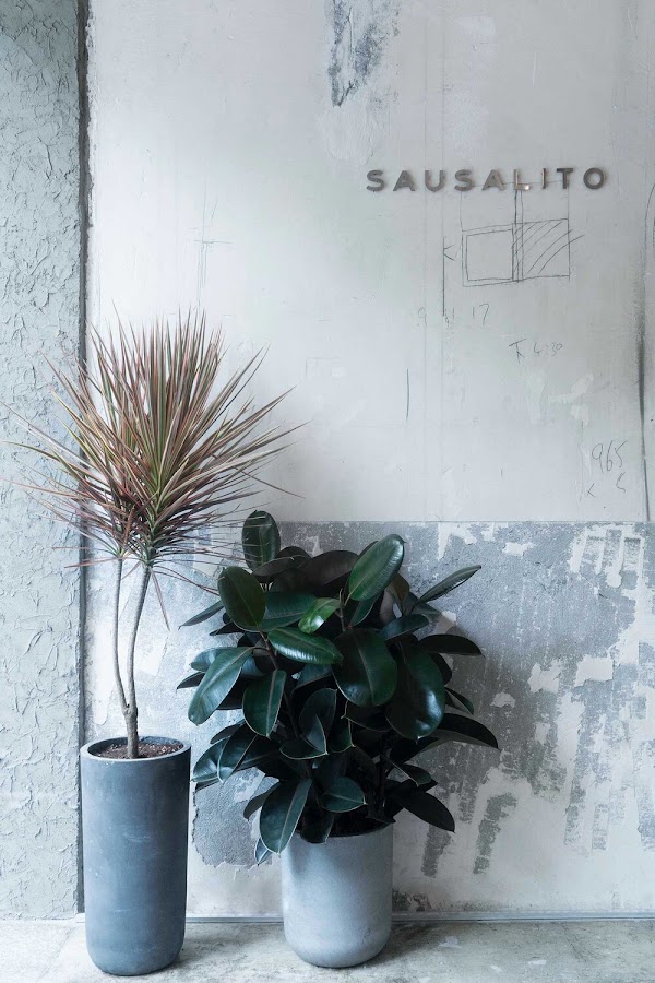 Café Sausalito 5