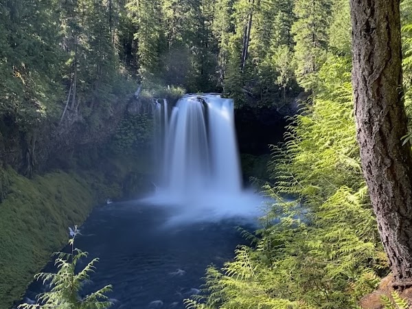 Koosah Falls