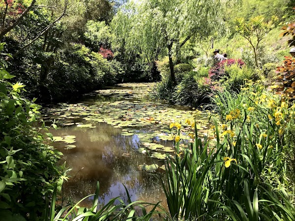 Chichu Garden 1