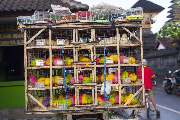 Pasar Desa Jimbaran 5