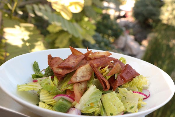 The Farm Restaurant, Al Barari 4