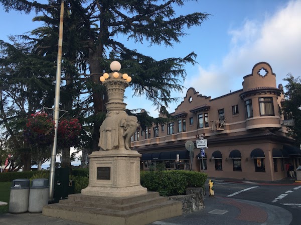 Viña del Mar Park 4