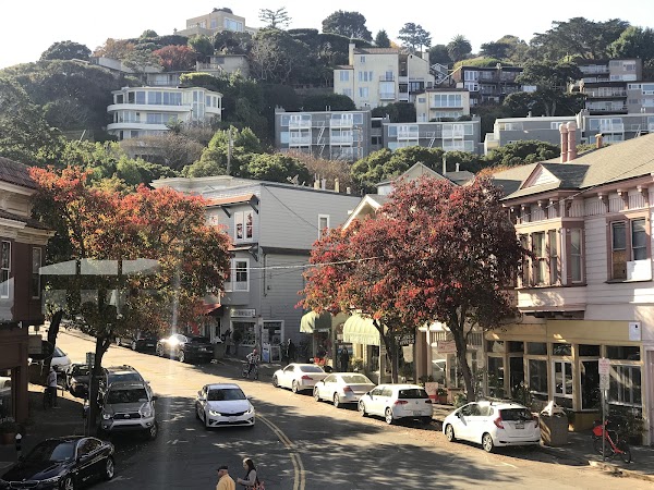 Viña del Mar Park 2