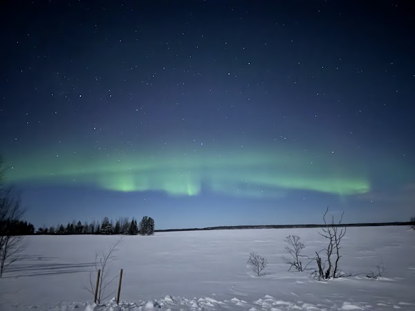 Munajärvi