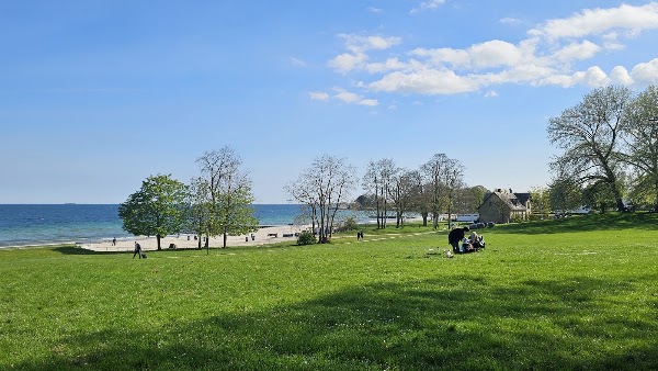Bellevue Beach 5