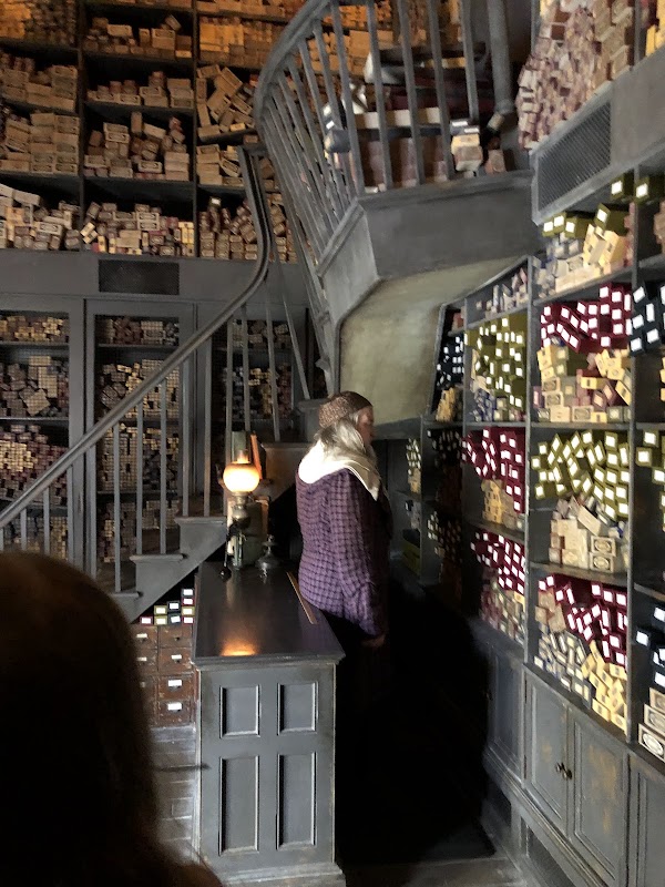 Ollivander's Wand Shop 5