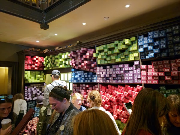 Ollivander's Wand Shop 2