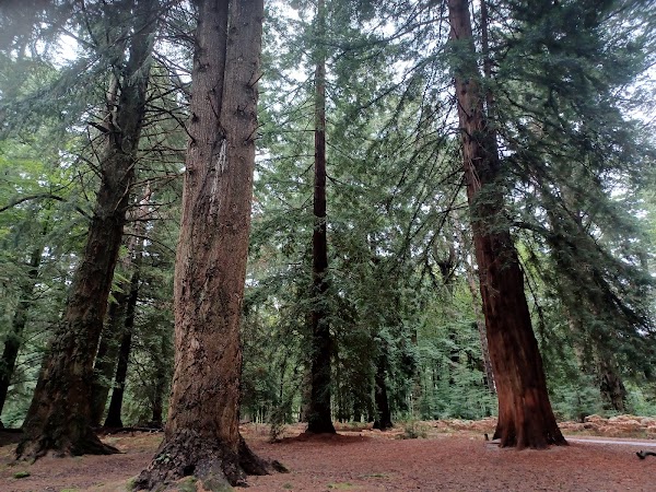 Blackwater Arboretum 5