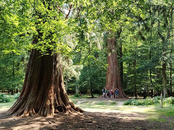 Blackwater Arboretum 3