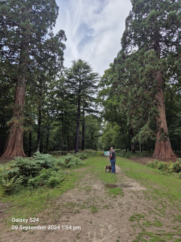 Blackwater Arboretum 2