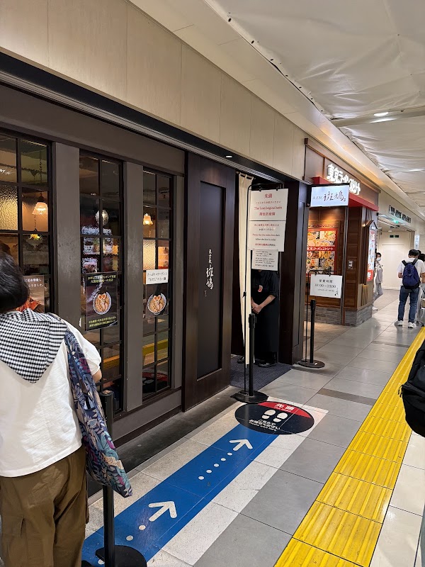 Tokyo Station Ikaruga