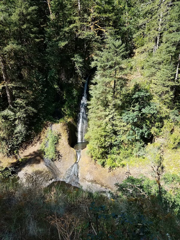 Eagle Creek Trail #440 4