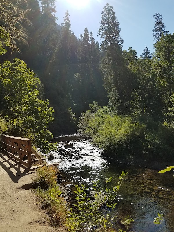 Eagle Creek Trail #440 3