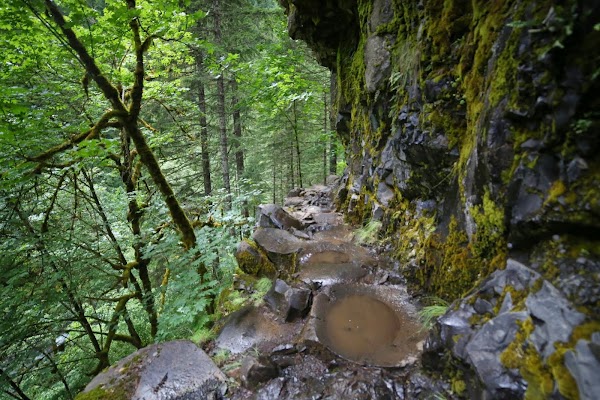 Eagle Creek Trail #440 2