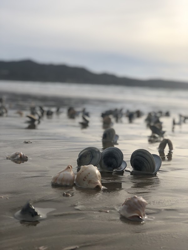 Tokerau Beach 2