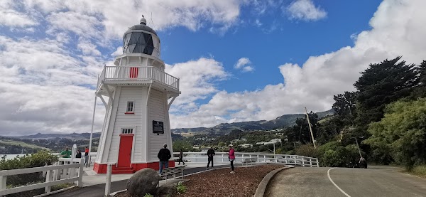 Akaroa Day Tour 4