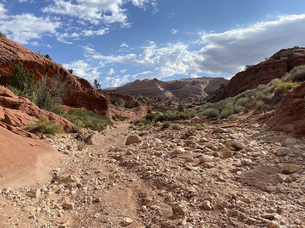 Wire Pass Trailhead 5