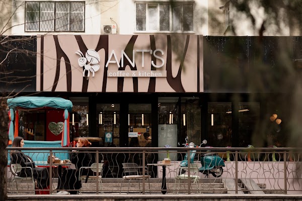 ANT'S 1