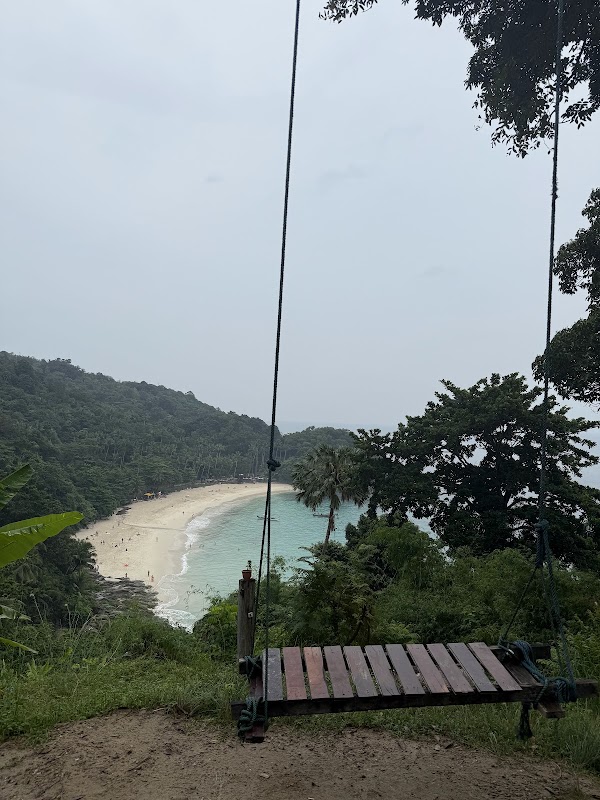 Freedom beach swing