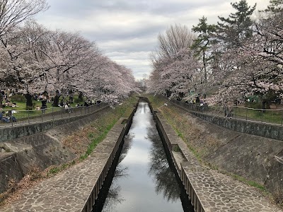 Wadabori Park 1