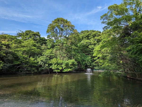 Wadabori Park 5