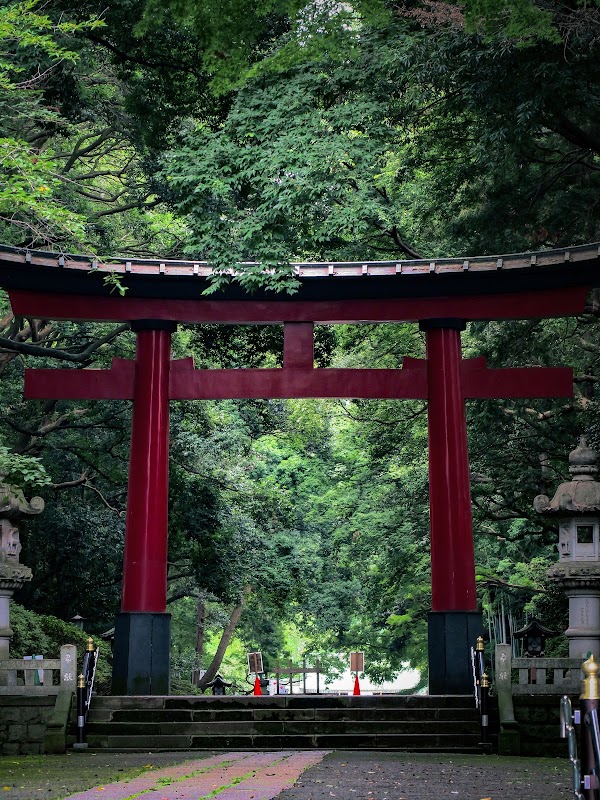 Wadabori Park 4