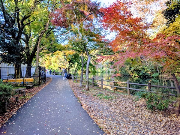 Wadabori Park 3