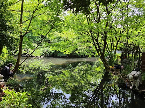 Wadabori Park 2