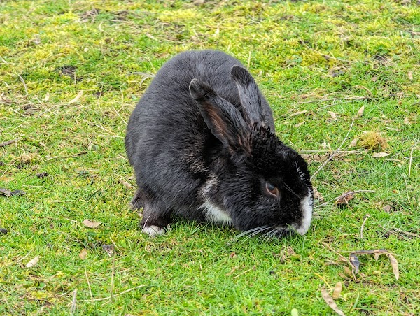 Jericho Beach Park 3