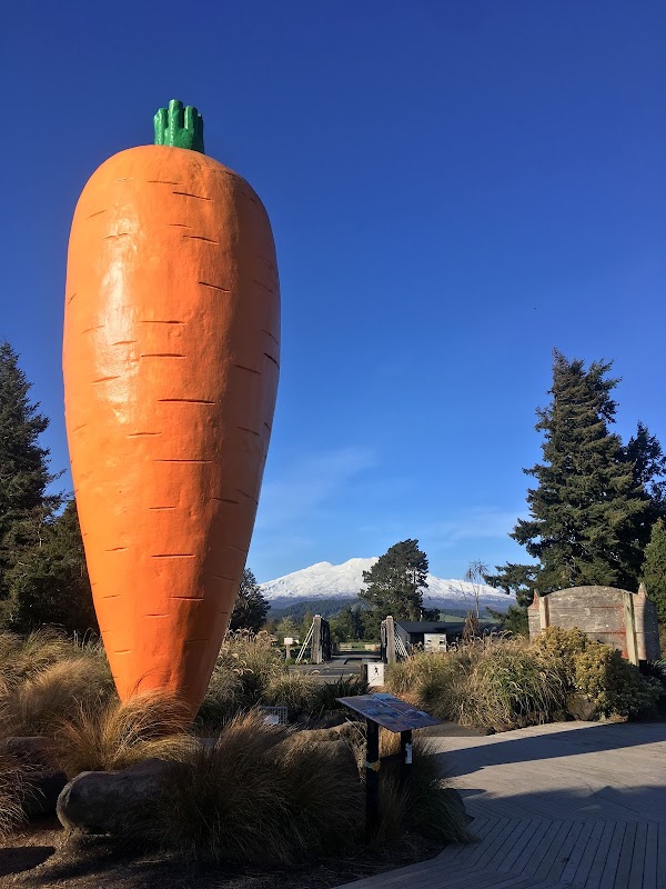 Ohakune Carrot 1