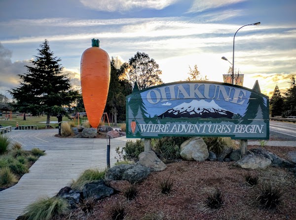 Ohakune Carrot 4